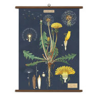 Title: Dandelion Vintage School Chart