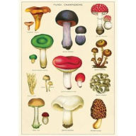 Title: Mushrooms 2 20x28