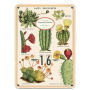 Perpetual Calendar - Succulents
