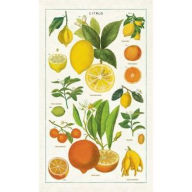 Title: Cavallini Tea Towel - Citrus Tea