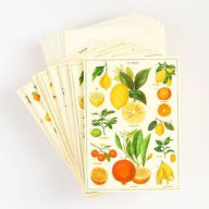 Title: Cavallini Assorted Boxed Notecards Set of 9 - Jardin