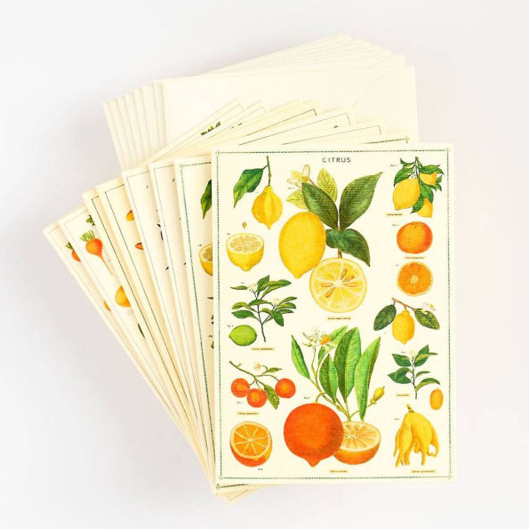 Cavallini Assorted Boxed Notecards Set of 9 - Jardin