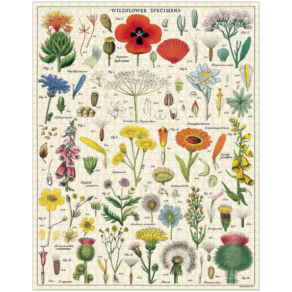 Cavallini & Co - Wildflowers 1,000 Piece Jigsaw Puzzle