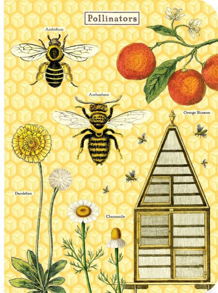 Bees & Honey Mini Notebooks - set of 3