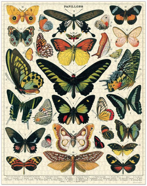 Cavallini & Co - Butterflies 1000 Piece Jigsaw Puzzle