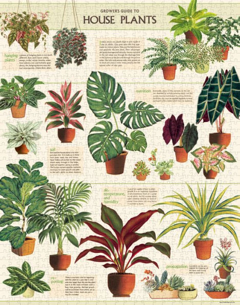 Cavallini & Co - House Plants 1000 Piece Jigsaw Puzzle