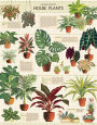 Alternative view 2 of House Plants 1000 Piece Jigsaw Puzzle