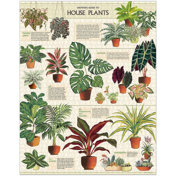 House Plants 1000 Piece Jigsaw Puzzle