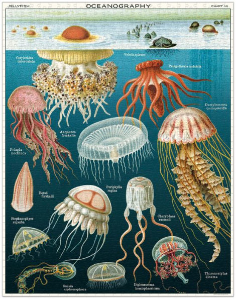 Cavallini & Co - Jellyfish 1000 Piece Jigsaw Puzzle