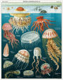 Alternative view 4 of Cavallini & Co - Jellyfish 1000 Piece Jigsaw Puzzle