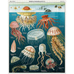 Alternative view 6 of Cavallini & Co - Jellyfish 1000 Piece Jigsaw Puzzle