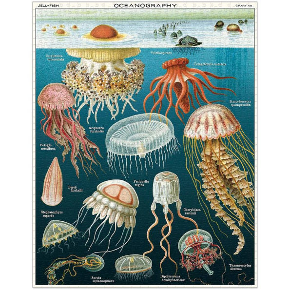 Cavallini & Co - Jellyfish 1000 Piece Jigsaw Puzzle