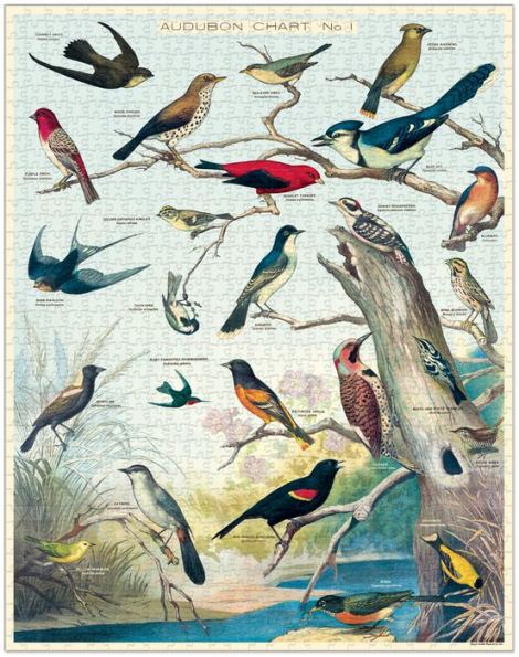 Birds 1,000 piece puzzle