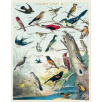 Alternative view 7 of Birds 1,000 piece puzzle