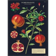 Title: Pomegranate 20x28