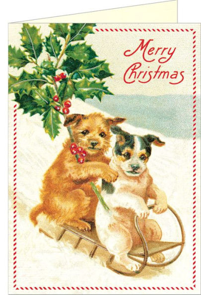 Christmas Boxed Notes Dogs