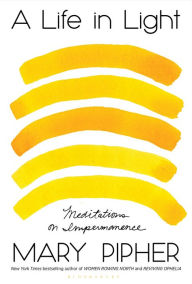 Ebooks portugues free download A Life in Light: Meditations on Impermanence