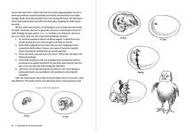 Alternative view 6 of Chickens in Your Backyard, Newly Revised and Updated: A Beginner's Guide
