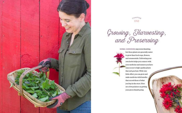 Grow Your Own Herbal Remedies: How to Create a Customized Herb Garden to Support Your Health & Well-Being