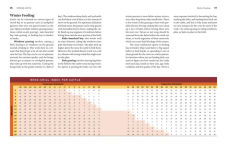 Alternative view 11 of Storey's Guide to Raising Beef Cattle, 4th Edition: Health, Handling, Breeding