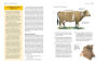 Alternative view 13 of Storey's Guide to Raising Beef Cattle, 4th Edition: Health, Handling, Breeding