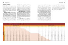 Alternative view 2 of Storey's Guide to Raising Beef Cattle, 4th Edition: Health, Handling, Breeding