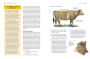 Alternative view 7 of Storey's Guide to Raising Beef Cattle, 4th Edition: Health, Handling, Breeding