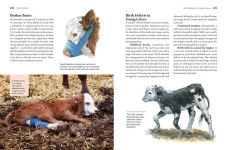 Alternative view 8 of Storey's Guide to Raising Beef Cattle, 4th Edition: Health, Handling, Breeding