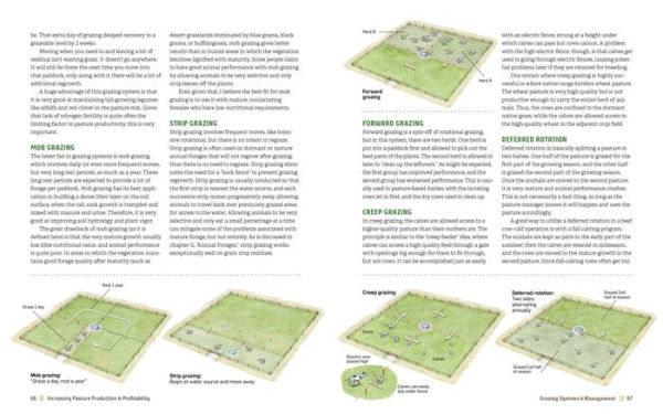 Managing Pasture: A Complete Guide to Building Healthy Pasture for Grass-Based Meat & Dairy Animals