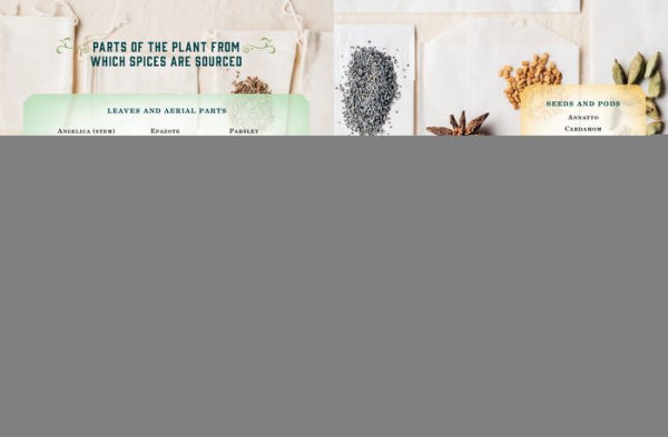 Spice Apothecary: Blending and Using Common Spices for Everyday Health
