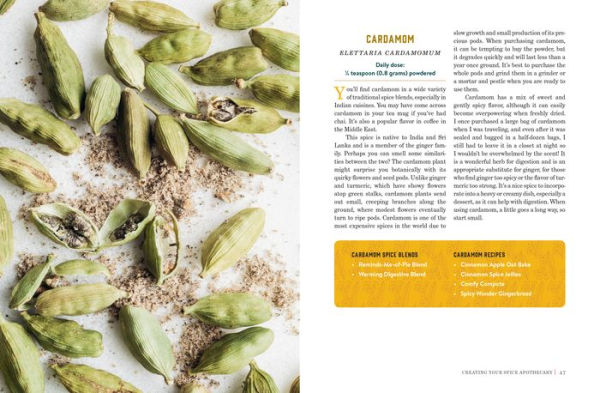 Spice Apothecary: Blending and Using Common Spices for Everyday Health