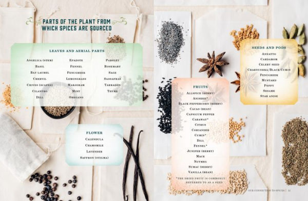 Spice Apothecary: Blending and Using Common Spices for Everyday Health