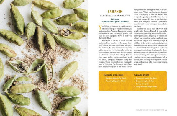 Spice Apothecary: Blending and Using Common Spices for Everyday Health