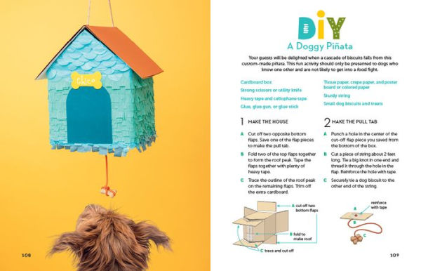 A Kid's Guide to Dogs: How to Train, Care for, and Play and Communicate with Your Amazing Pet!