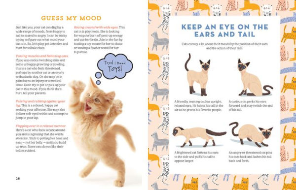 A Kid's Guide to Cats: How to Train, Care for, and Play and Communicate with Your Amazing Pet!