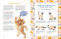 Alternative view 3 of A Kid's Guide to Cats: How to Train, Care for, and Play and Communicate with Your Amazing Pet!