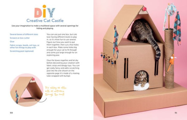 A Kid's Guide to Cats: How to Train, Care for, and Play and Communicate with Your Amazing Pet!
