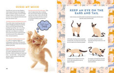 Alternative view 7 of A Kid's Guide to Cats: How to Train, Care for, and Play and Communicate with Your Amazing Pet!