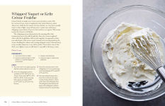 Alternative view 3 of Homemade Yogurt & Kefir: 71 Recipes for Making & Using Probiotic-Rich Ferments