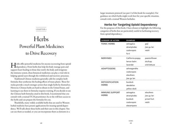 Natural Therapies for Overcoming Opioid Dependency: Control Pain and Recover from Addiction with Chinese Medicine, Acupuncture, Herbs, Nutritional Supplements & Meditation Lifestyle Practices
