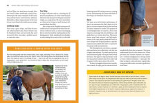 Alternative view 2 of Storey's Guide to Training Horses, 3rd Edition: Ground Work, Driving, Riding
