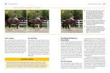 Alternative view 3 of Storey's Guide to Training Horses, 3rd Edition: Ground Work, Driving, Riding