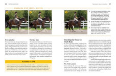Alternative view 7 of Storey's Guide to Training Horses, 3rd Edition: Ground Work, Driving, Riding