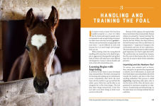 Alternative view 9 of Storey's Guide to Training Horses, 3rd Edition: Ground Work, Driving, Riding