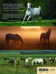 Alternative view 2 of Bob Langrish's World of Horses: A Master Photographer's Lifelong Quest to Capture the Most Magnificent Horses in the World