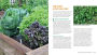 Alternative view 2 of Plant Partners: Science-Based Companion Planting Strategies for the Vegetable Garden