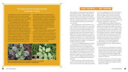 Alternative view 4 of Plant Partners: Science-Based Companion Planting Strategies for the Vegetable Garden