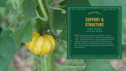 Alternative view 5 of Plant Partners: Science-Based Companion Planting Strategies for the Vegetable Garden