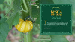 Alternative view 7 of Plant Partners: Science-Based Companion Planting Strategies for the Vegetable Garden