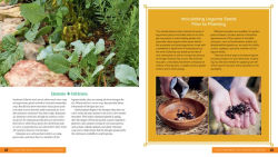 Alternative view 9 of Plant Partners: Science-Based Companion Planting Strategies for the Vegetable Garden